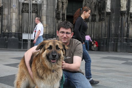besucher