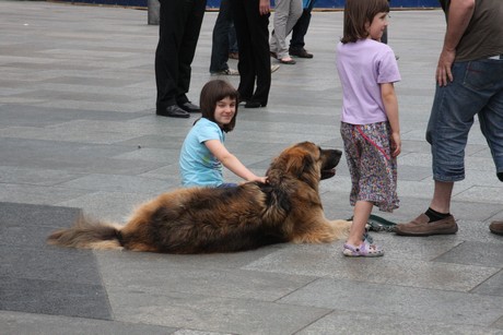 besucher