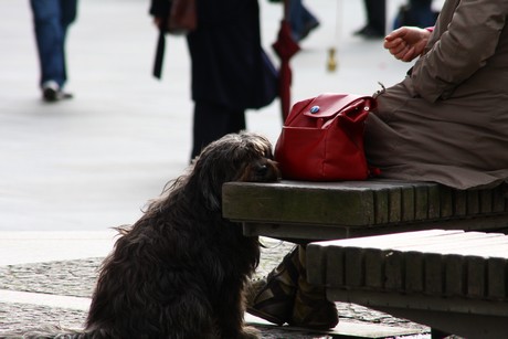 besucher