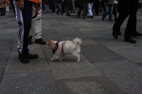 besucher