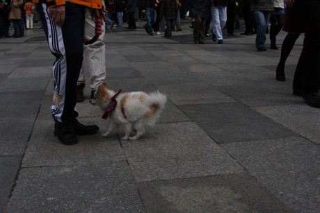 besucher