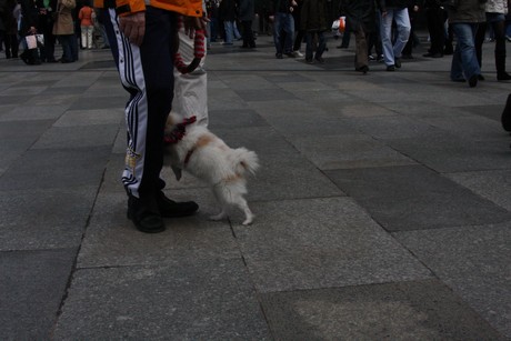 besucher