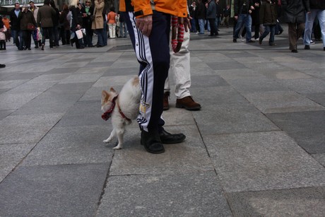 besucher