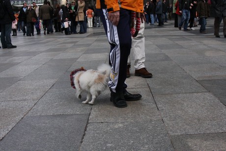 besucher