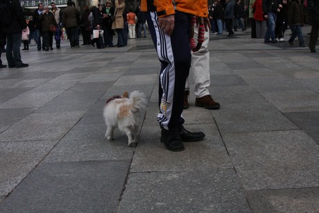 besucher
