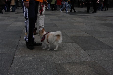 besucher
