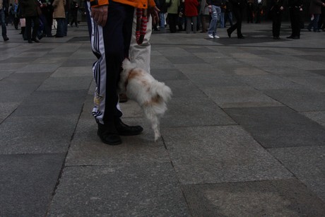 besucher