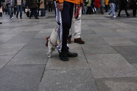besucher