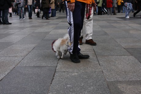 besucher