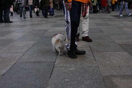 besucher