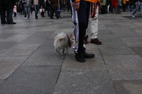 besucher