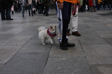 besucher