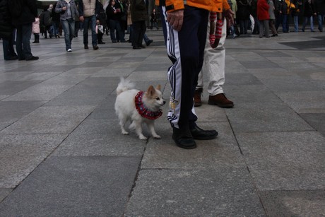 besucher