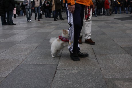 besucher