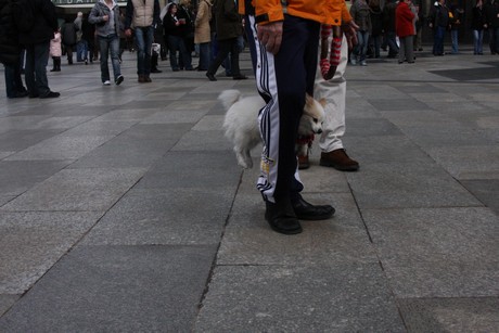 besucher