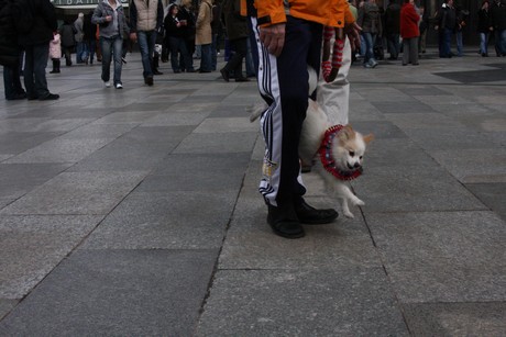 besucher