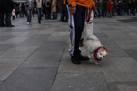 besucher