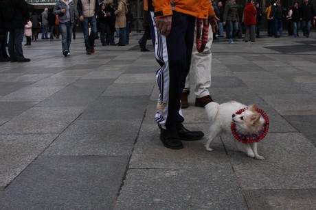 besucher