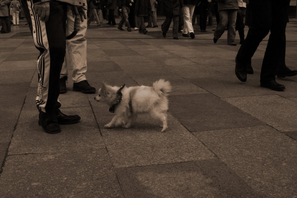 besucher