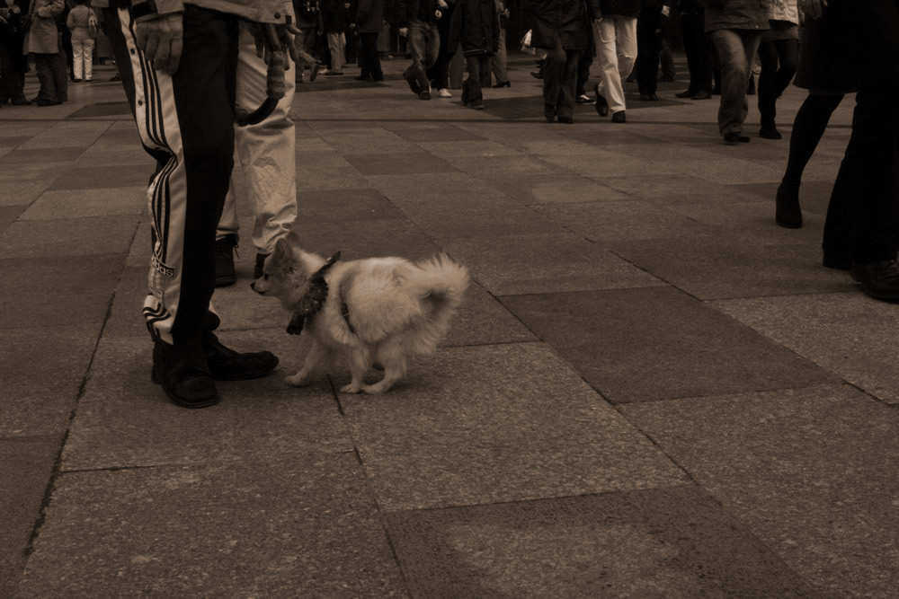 besucher