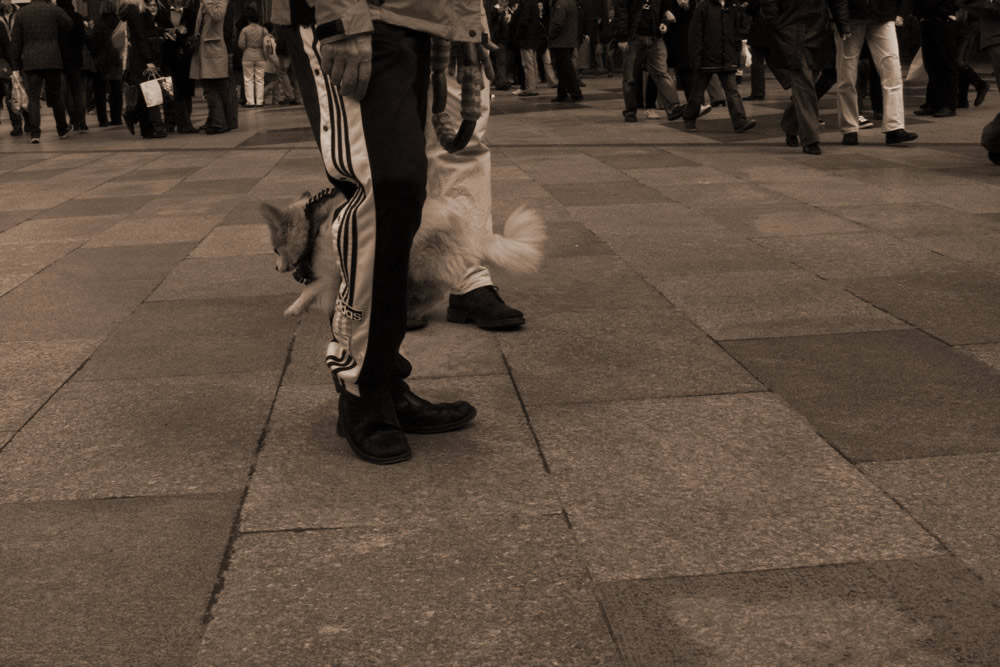 besucher