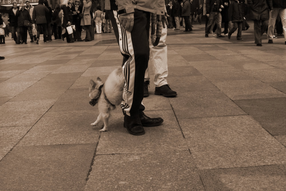 besucher