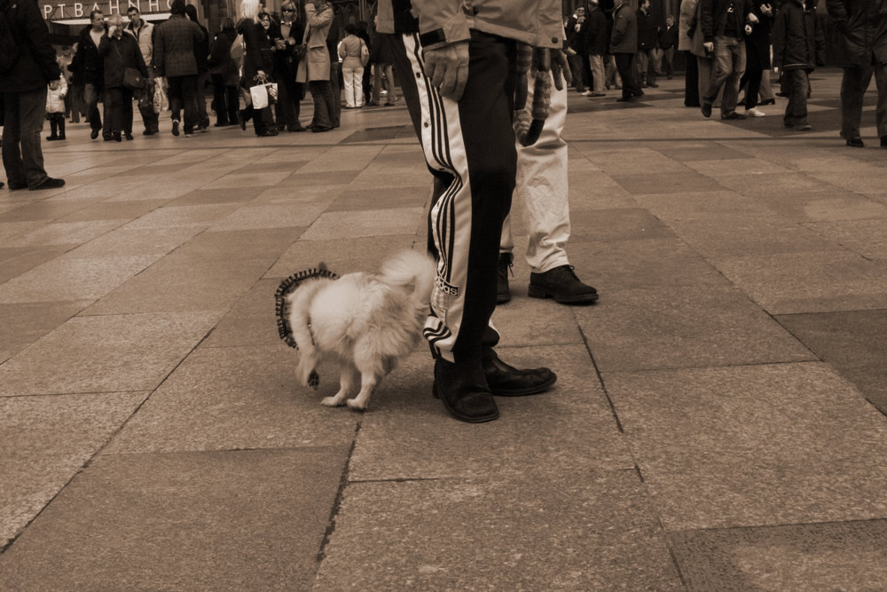 besucher