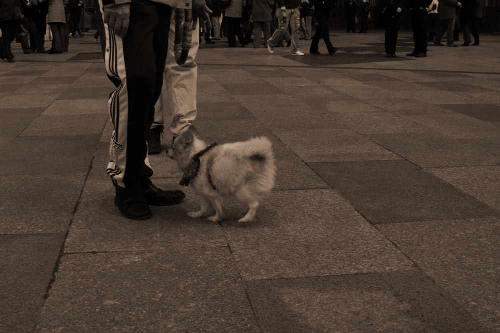besucher
