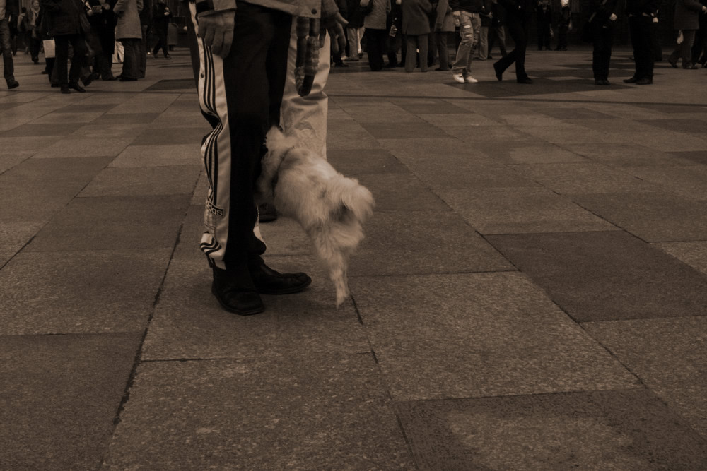 besucher