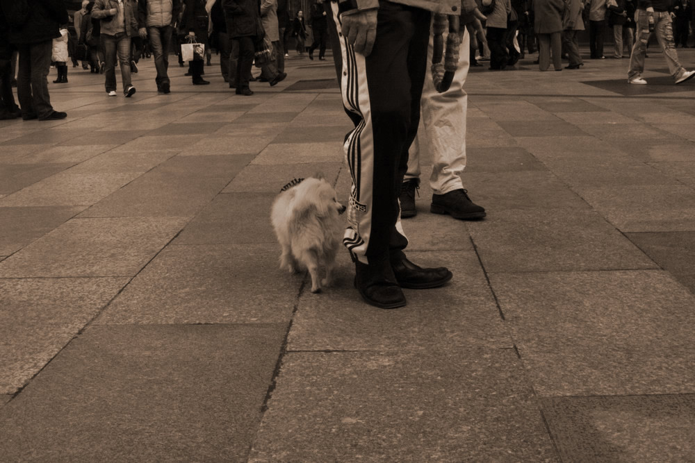 besucher