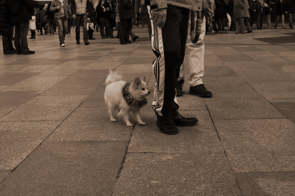 besucher