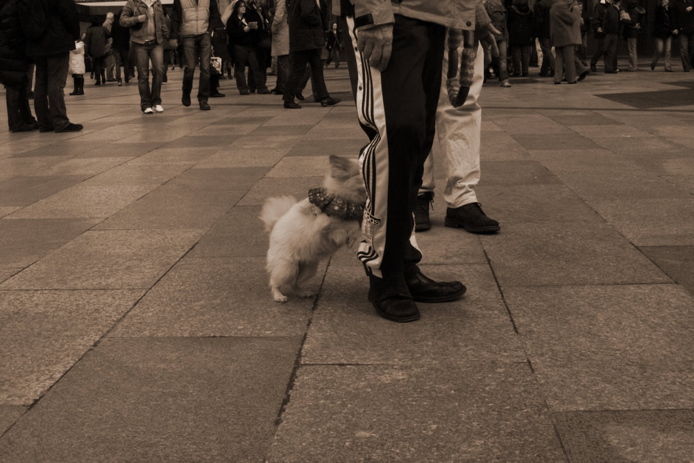 besucher