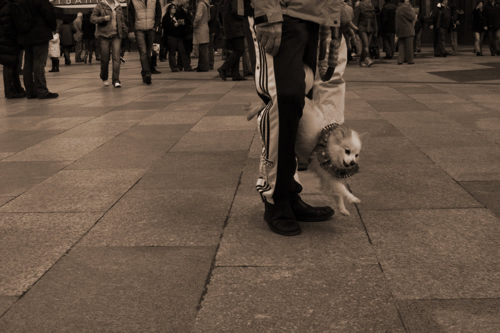 besucher