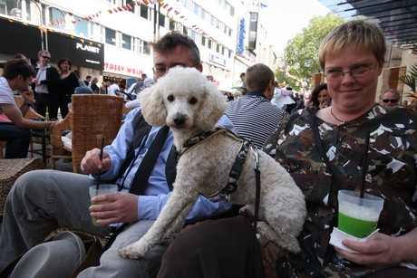 besucher