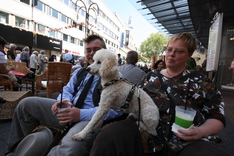 besucher
