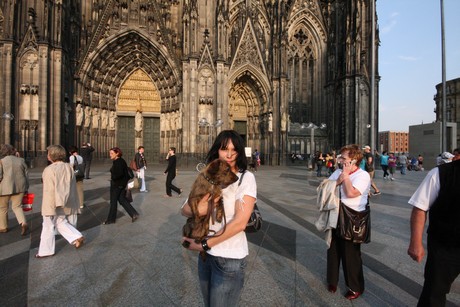 besucher