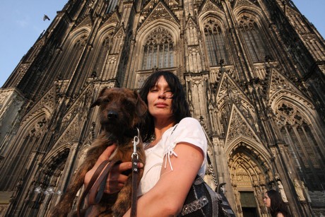 besucher