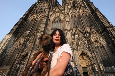 besucher