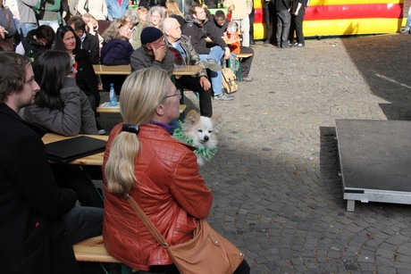 wahlkampfhoehepunkt