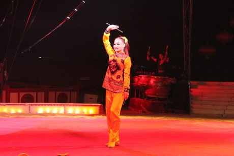 circus-krone