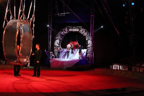 circus-krone
