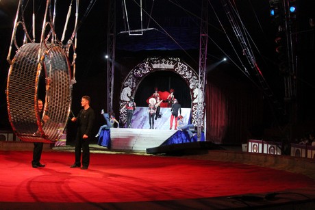 circus-krone