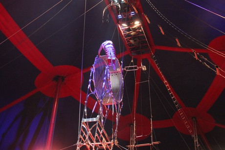 circus-krone