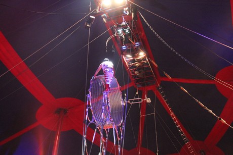 circus-krone