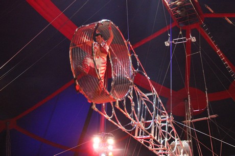 circus-krone
