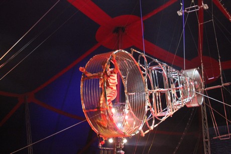 circus-krone