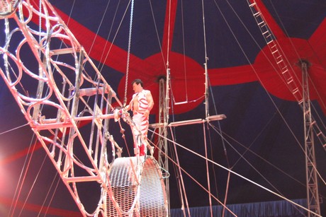 circus-krone