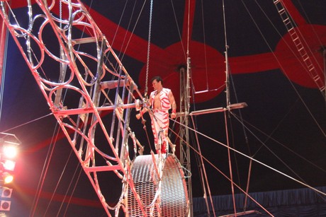 circus-krone