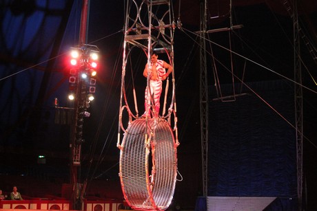 circus-krone