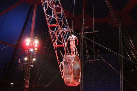 circus-krone